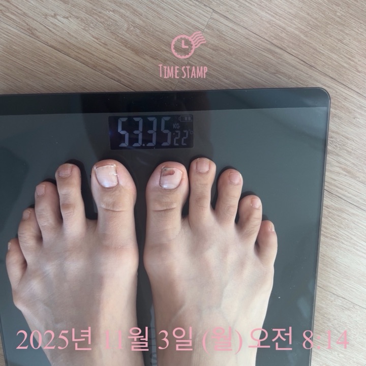2025년 11월 체중계 53.4kg